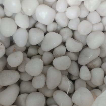 Buy Decorative Medium White Stone shine -1 kg Online | Urvann.com