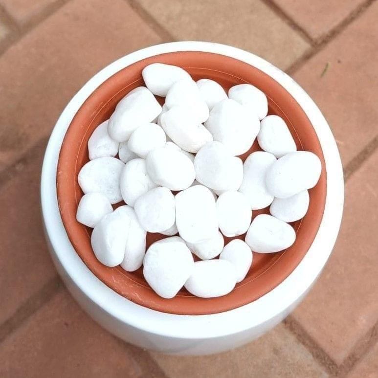 Decorative White Big Pebbles - 1 kg