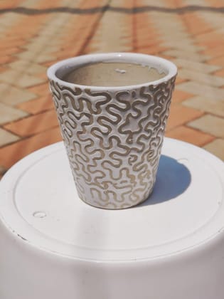 Buy 5 Inch White Designer Ceramic Pot (any design) Online | Urvann.com