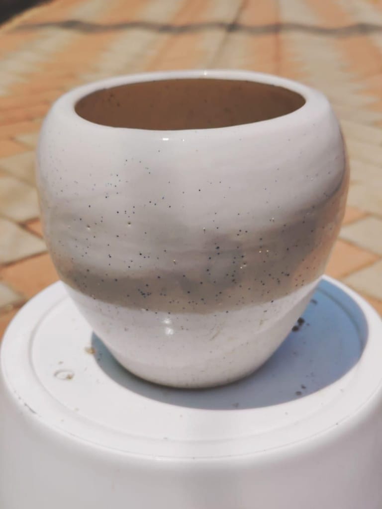 Buy 4 Inch White Elegant Ceramic Apple Pot Online | Urvann.com 4 Inch White Elegant Ceramic Apple Pot
