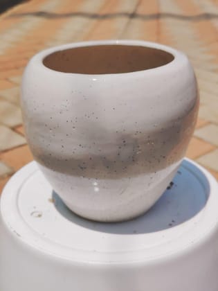 Buy 4 Inch White Elegant Ceramic Apple Pot Online | Urvann.com