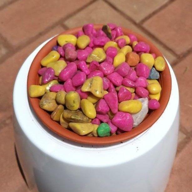 Decorative Colourful Mix Pebbles - 500 g
