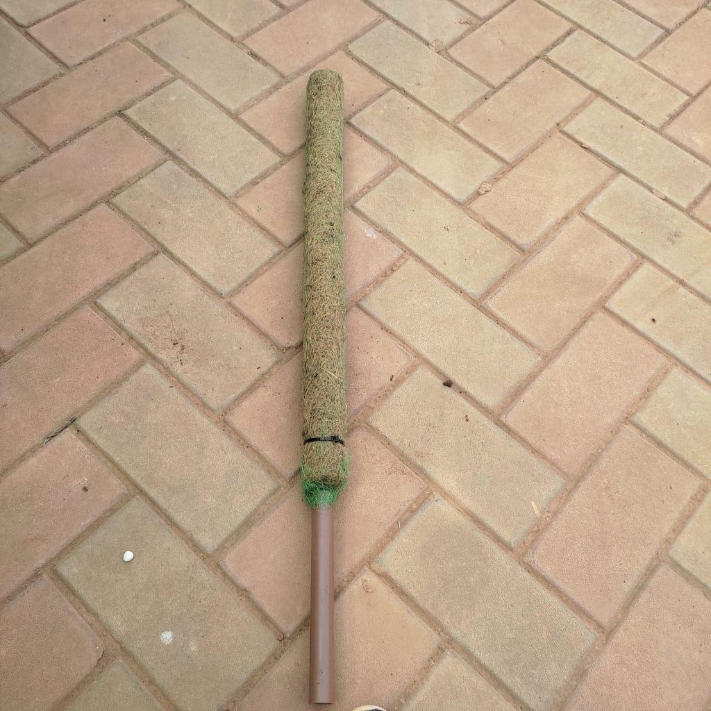 Moss Stick - 3 Ft