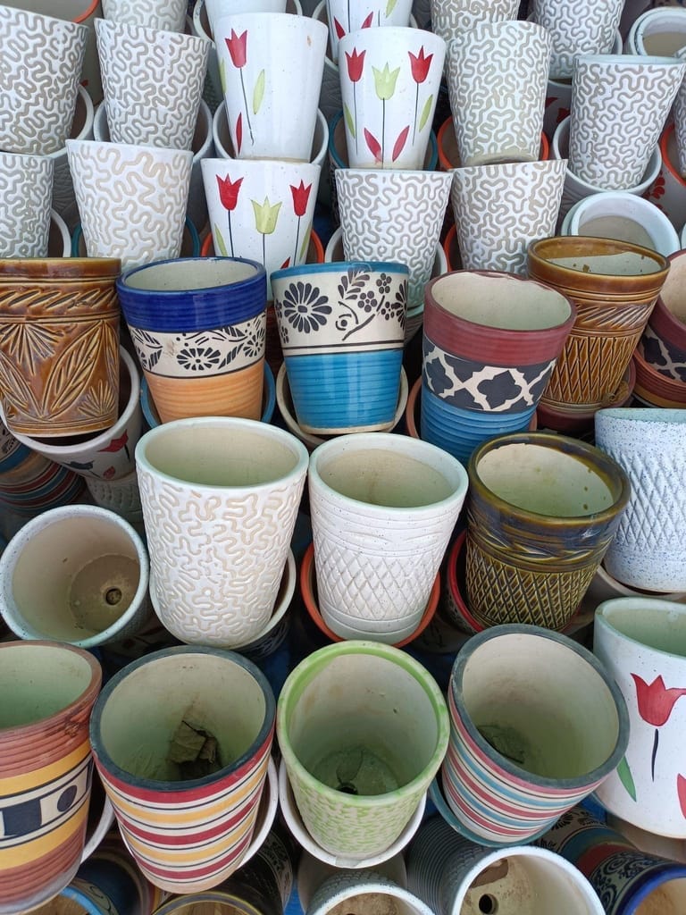 6 Inch Designer Ceramic Pot (any colour & design)