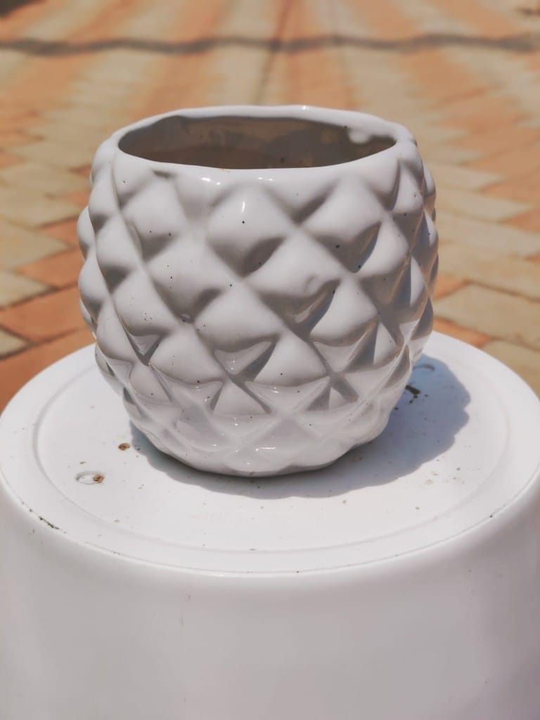 Buy 6 Inch White Ceramic Pineapple Pot Online | Urvann.com 4 Inch White Ceramic Pineapple Pot