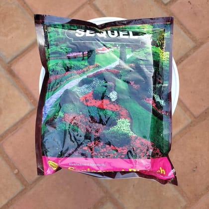 Buy D.I.P Black - 500 Gm Online | Urvann.com