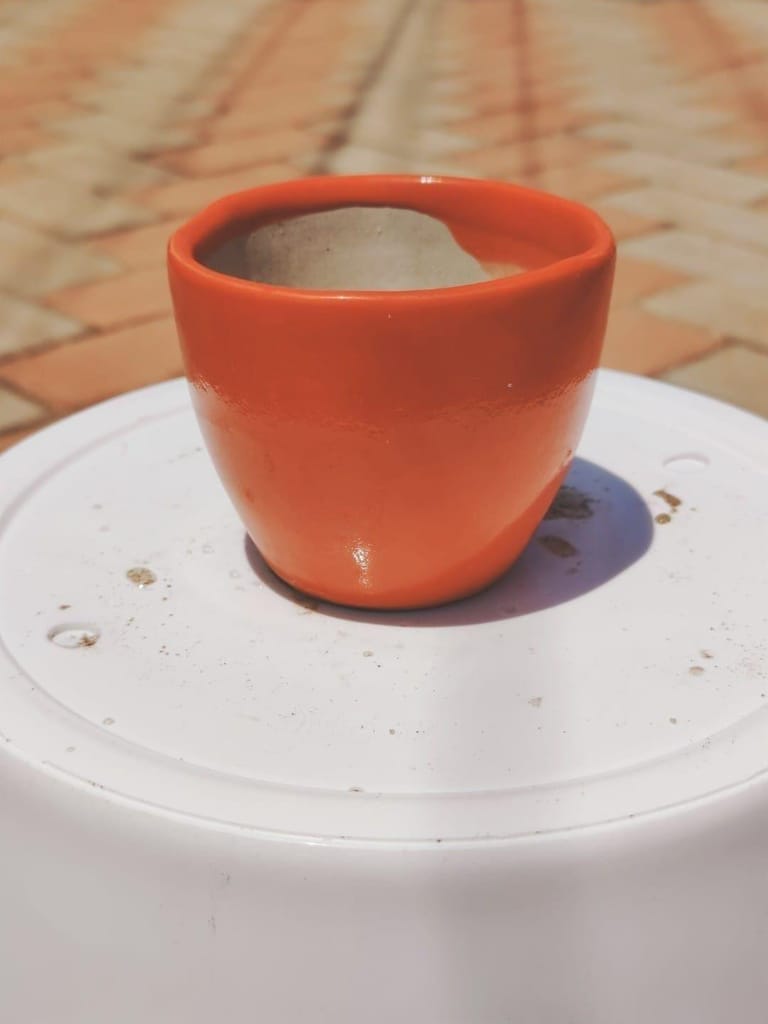 4 Inch Cup Designer Ceramic Pot (any colour)