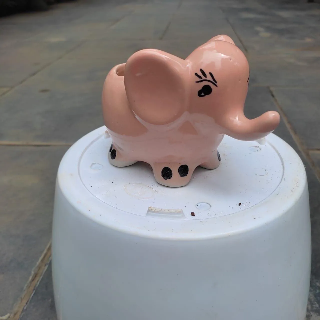 3 Inch Cute Elephant Designer Ceramic Pot (any colour)