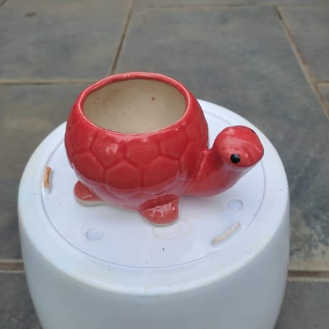 2 Inch Red Tortoise Designer Ceramic Pot