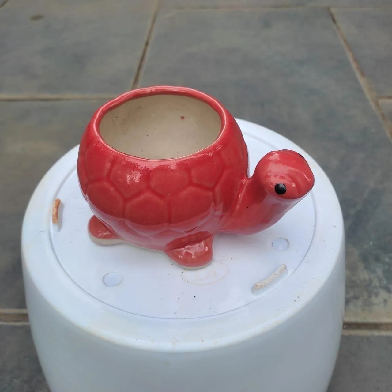 2 Inch Red Tortoise Designer Ceramic Pot