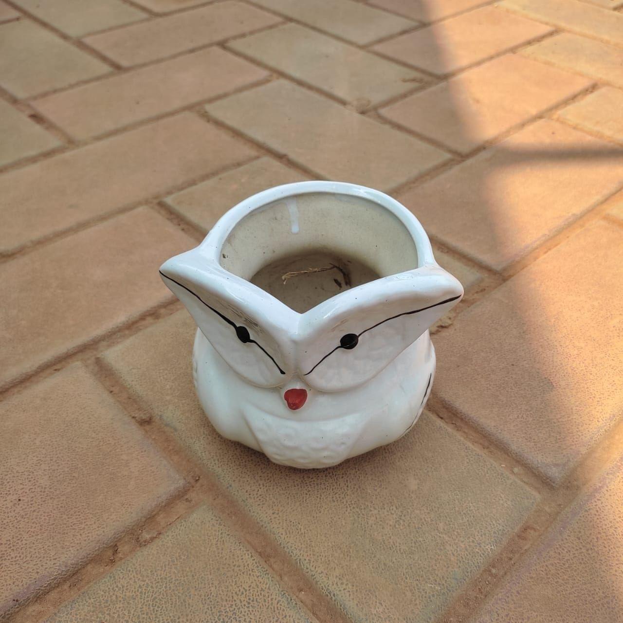 5 Inch Cute Owl Designer Ceramic Pot (any colour)