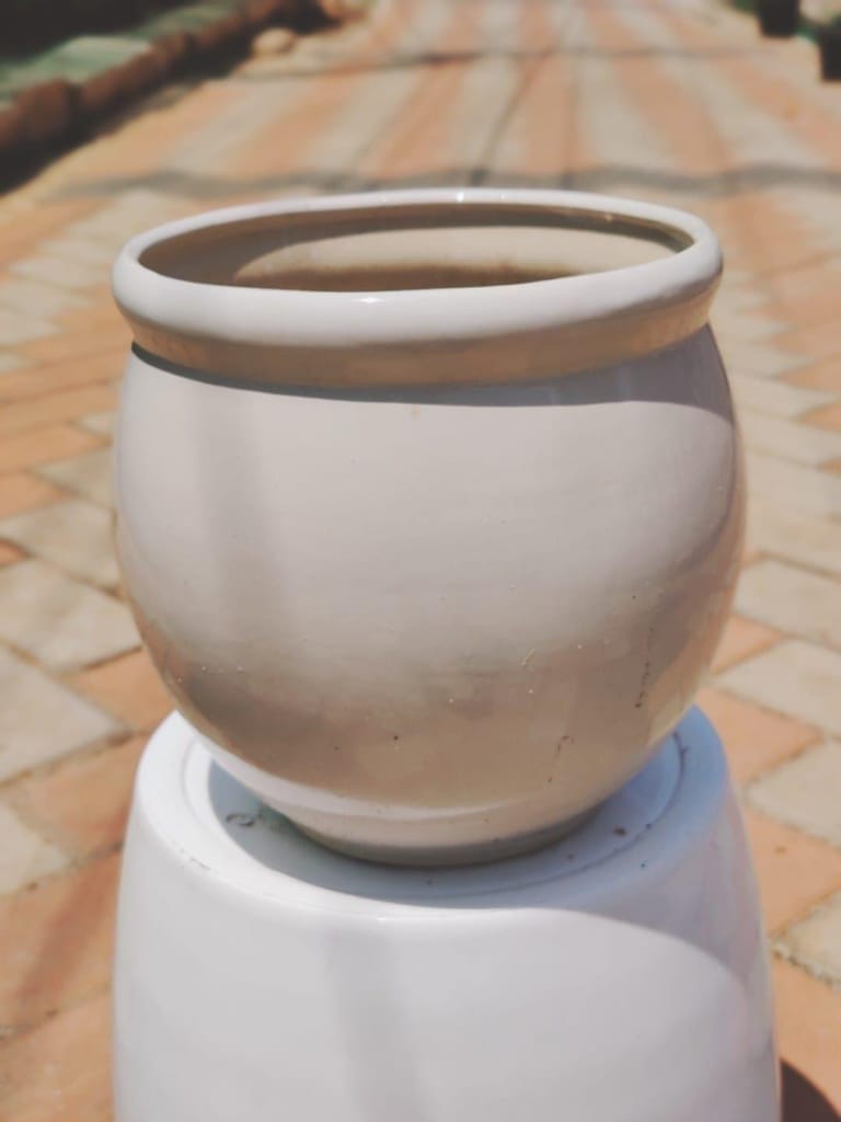 10 Inch White Classy Handi Ceramic Pot
