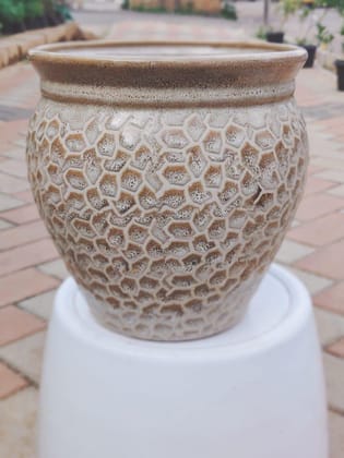 Buy 10 Inch Matki Designer Ceramic Pot (any colour) Online | Urvann.com