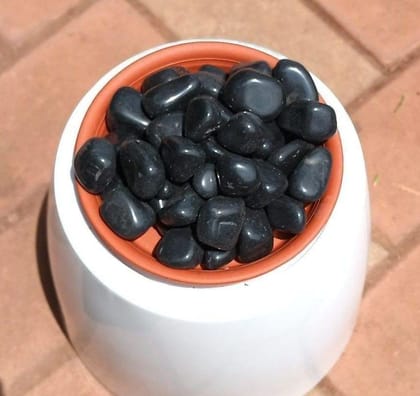 Buy Decorative Black Big Polished Pebbles - 1 kg Online | Urvann.com