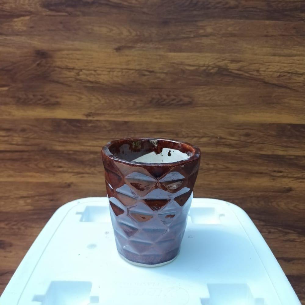 3 Inch Triangles Designer Glass Ceramic Pot (colour may vary),Pots:Ceramic Planters:Royal Ceramic Pots