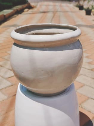 Buy 12 Inch Yellow Classy Handi Ceramic Pot Online | Urvann.com