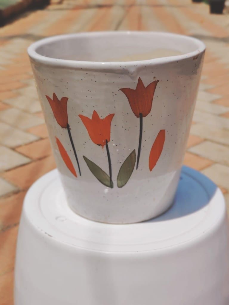 8 Inch Designer Ceramic Pot (any design & colour)