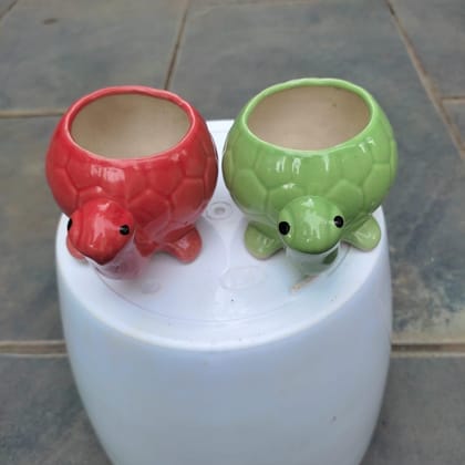 Buy Set of 2 - 2 Inch (Red & Green) Tortoise Designer Ceramic Pot Online | Urvann.com