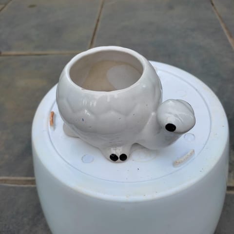 2 Inch White Cute Tortoise Designer Ceramic Pot