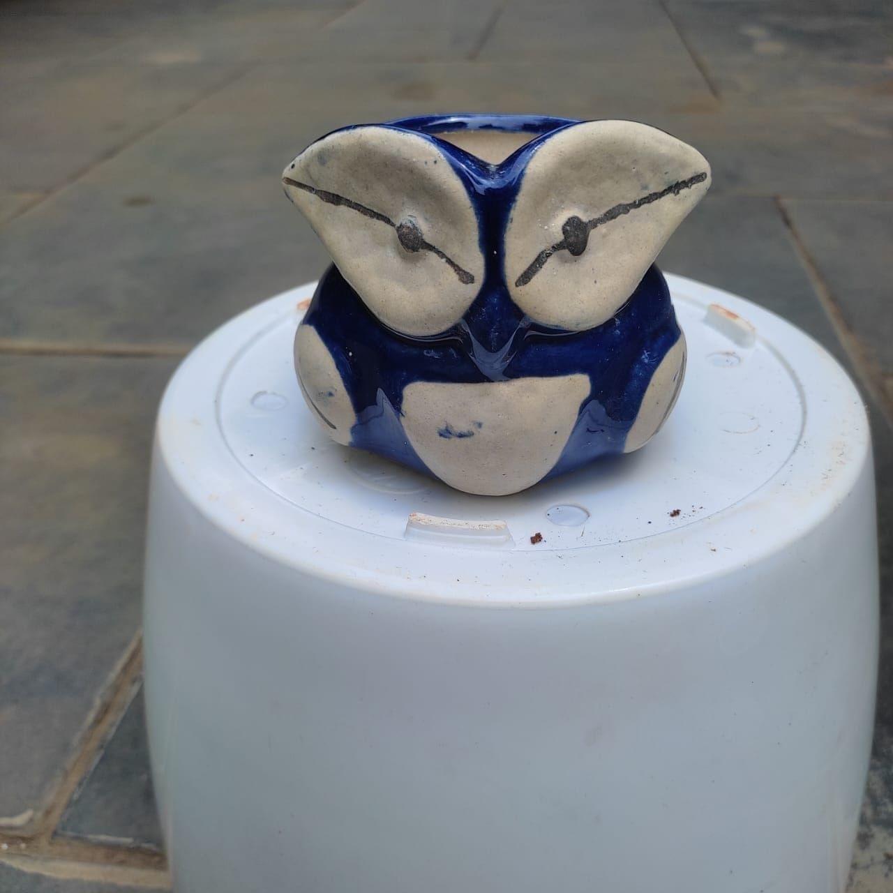 3 Inch Cute Owl Designer Ceramic Pot (any colour)