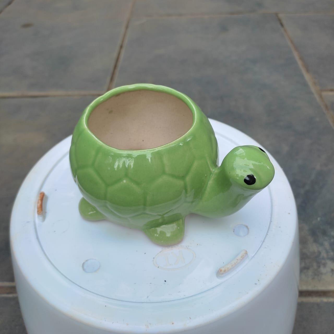 2 Inch Tortoise Designer Ceramic Pot (Any Colour)