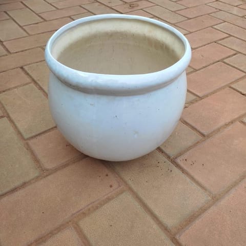10 Inch White Handi Ceramic Pot