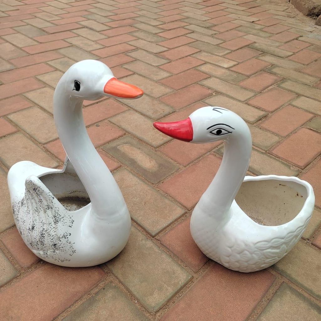 Buy Set of 2 - (4 & 5 Inch) White Cute Duck Designer Ceramic Pot Online | Urvann.com Set of 2 - (4 & 5 Inch) White Cute Duck Designer Ceramic Pot