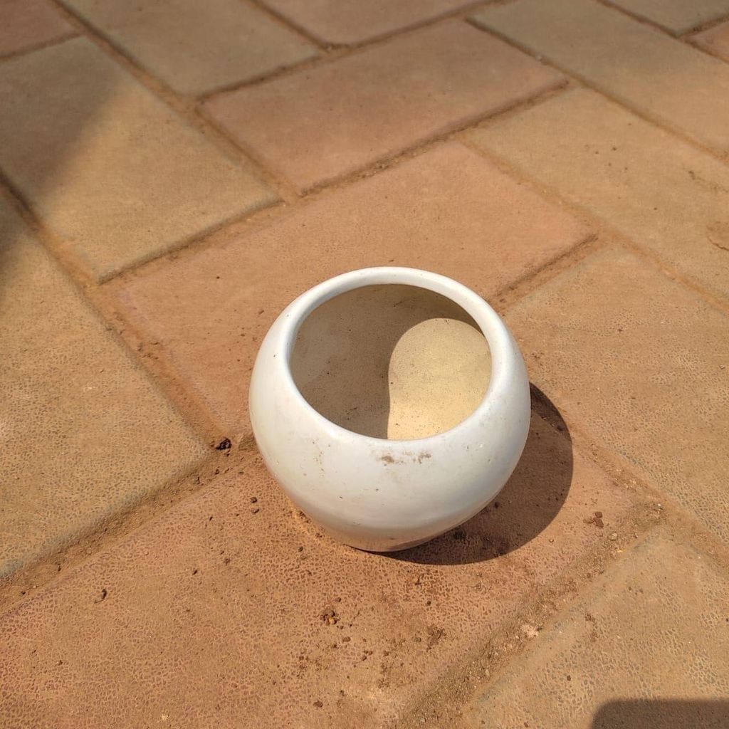 3 Inch Classy Bowl Ceramic Pot (any colour),Pots:Ceramic Planters:Royal Ceramic Pots