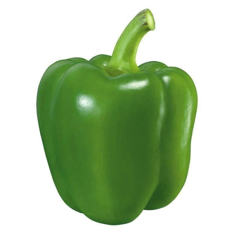 Capsicum Seeds - Excellent Germination