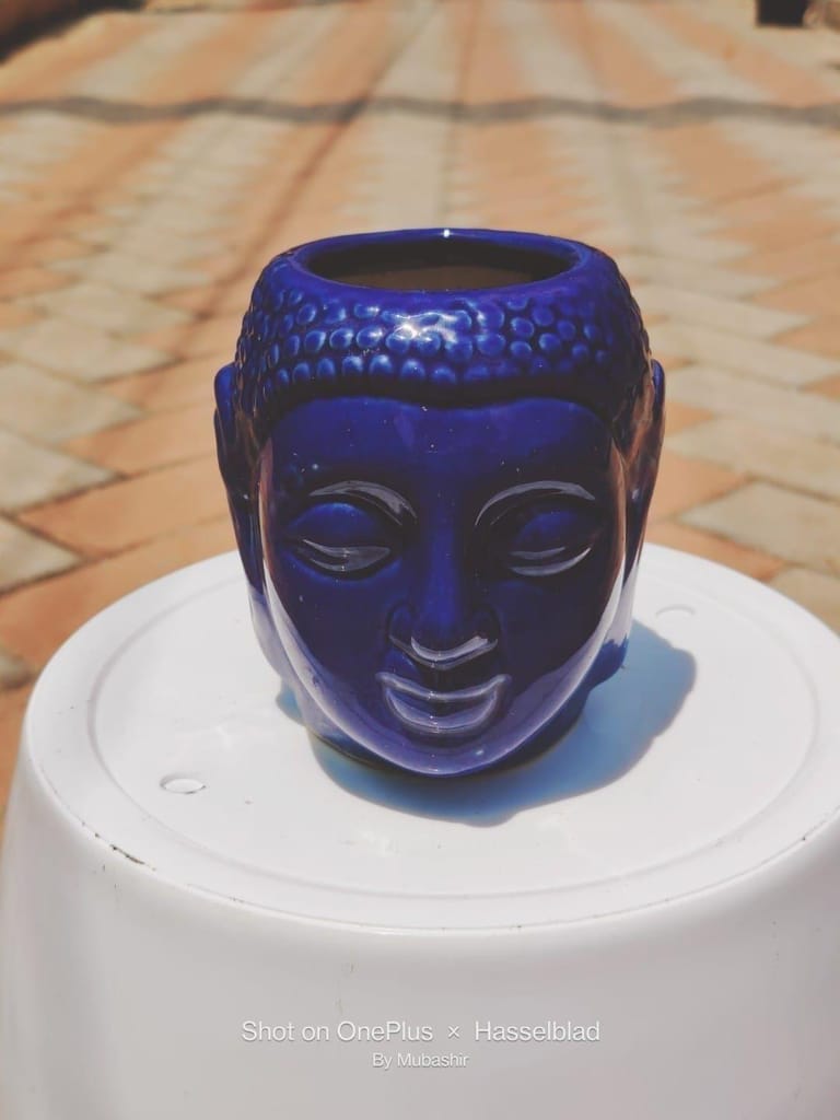 4 Inch Elegant Buddha Designer Ceramic Pot (any colour)