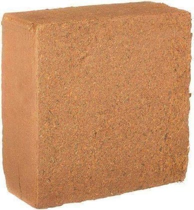 Buy Cocopeat Brick- 5 Kg- Expands upto 20 litres cocopeat Online | Urvann.com