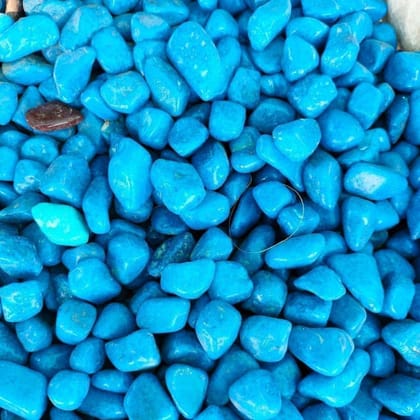 Buy Decorative Blue Medium Pebbles - 1 Kg Online | Urvann.com