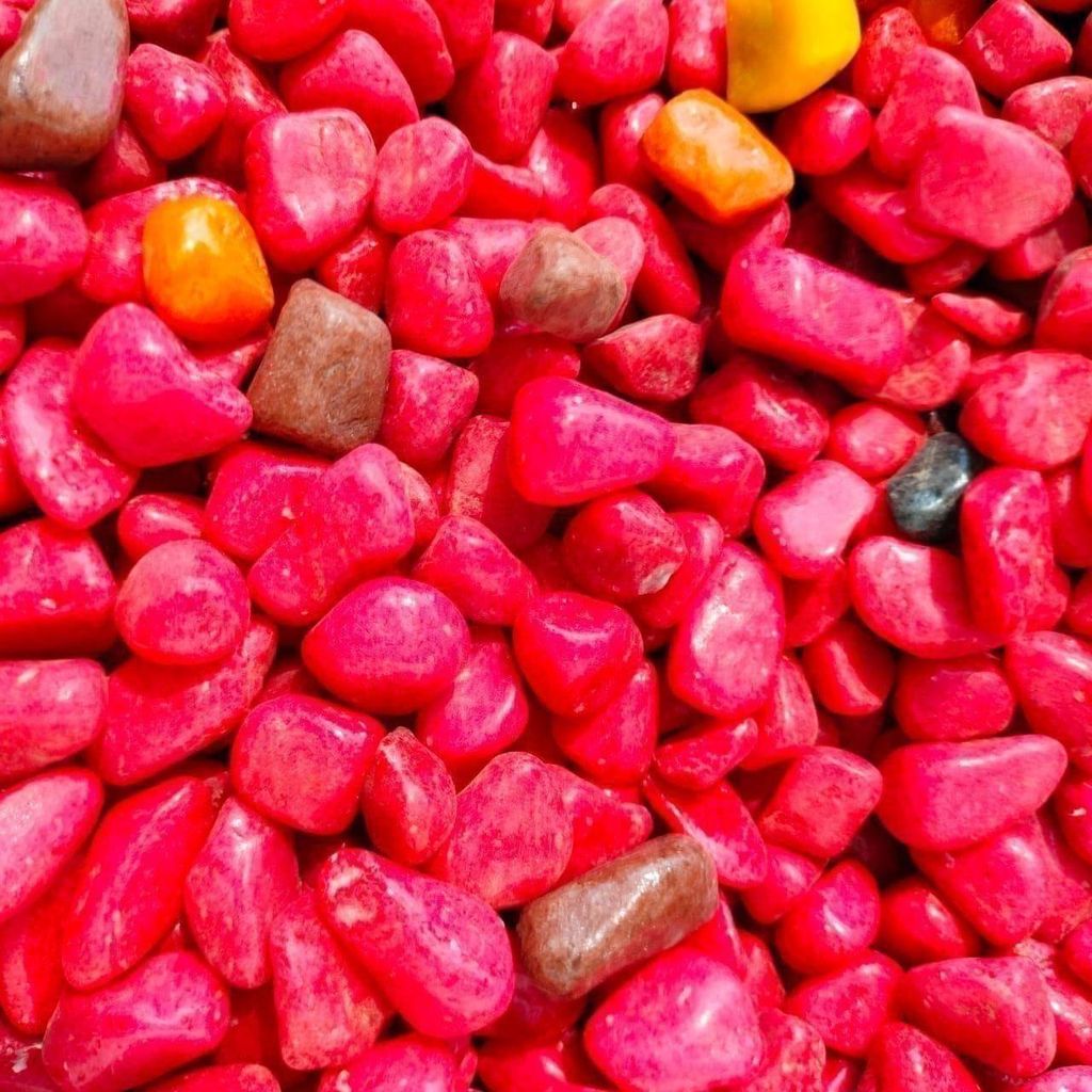 Decorative Red Medium Pebbles - 500 Gm
