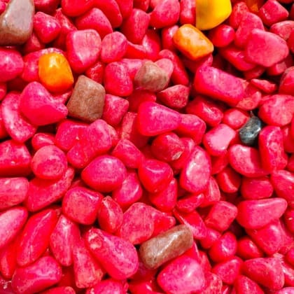 Buy Decorative Red Medium Pebbles - 500 Gm Online | Urvann.com
