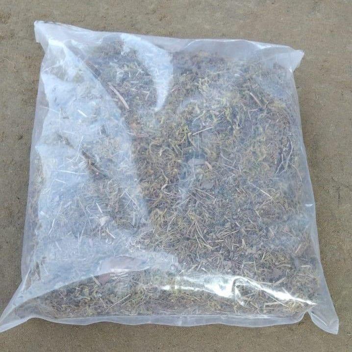Moss Grass - 250 gms