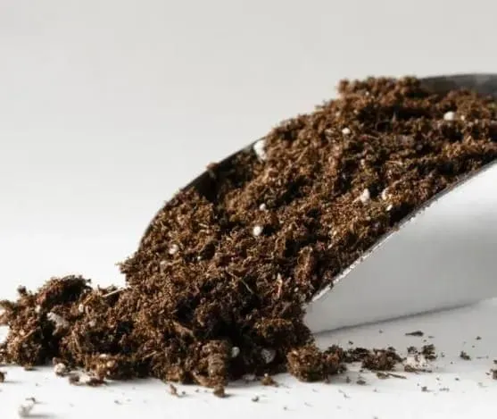 Plant Food / Soil Energizer - 2 Kg