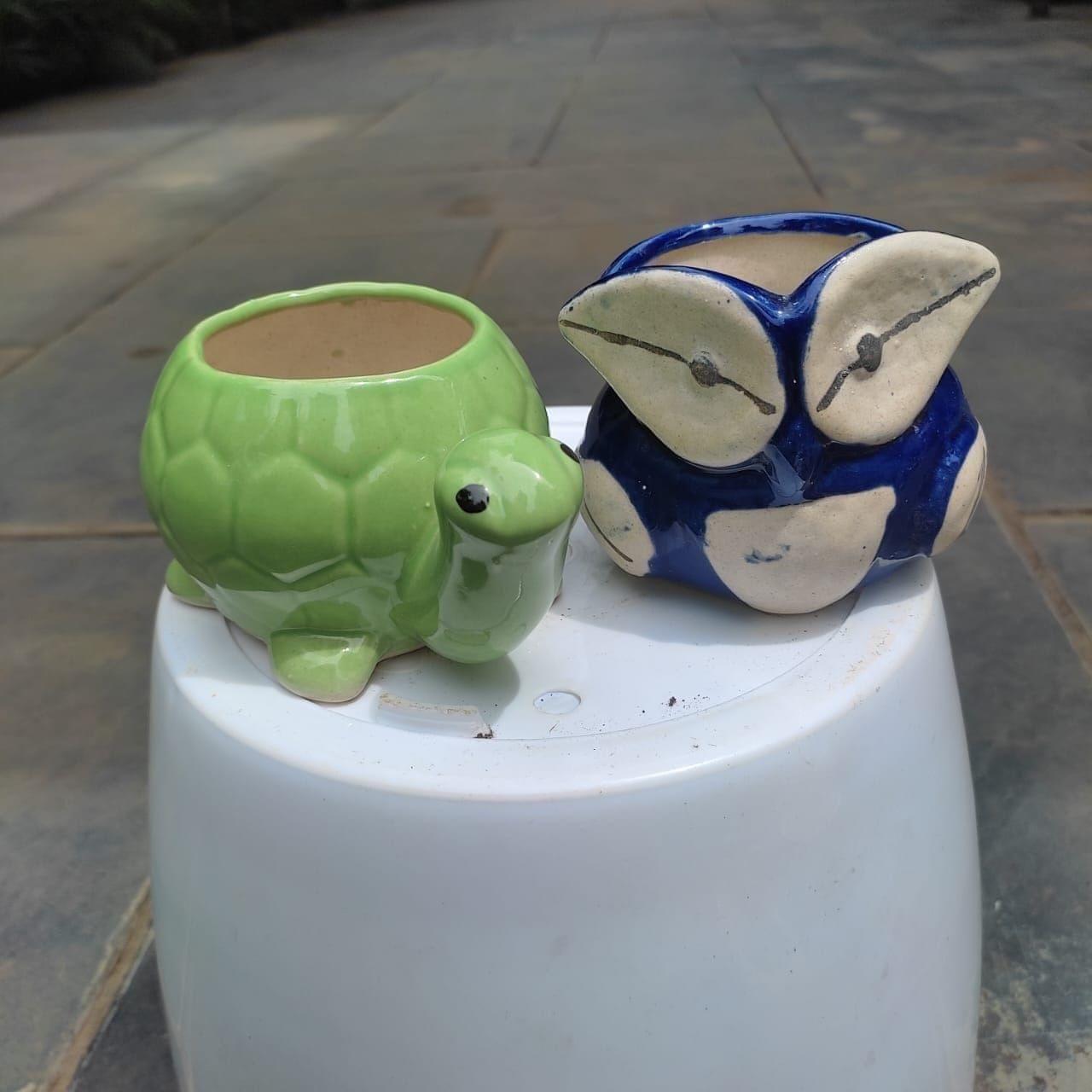 Set of 2 - 2 Inch Cute Tortoise & Owl Designer Ceramic Pot (any colour)