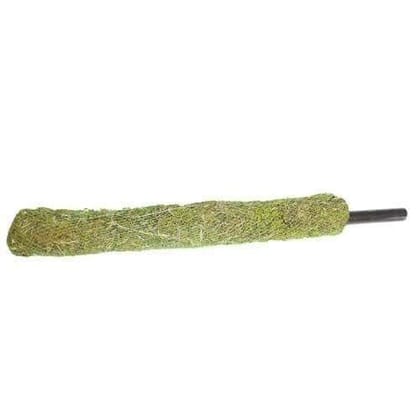 Buy Moss stick - 2.5 ft Online | Urvann.com