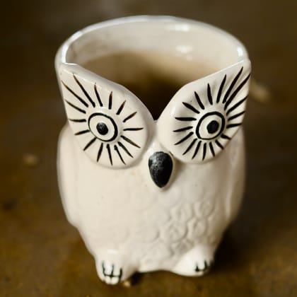 Buy 6 Inch White Owl Designer Ceramic Pot Online | Urvann.com