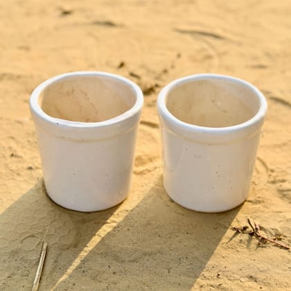 Buy Set of 2 - 5 Inch White Classy Cylindrical Ceramic Pot Online | Urvann.com