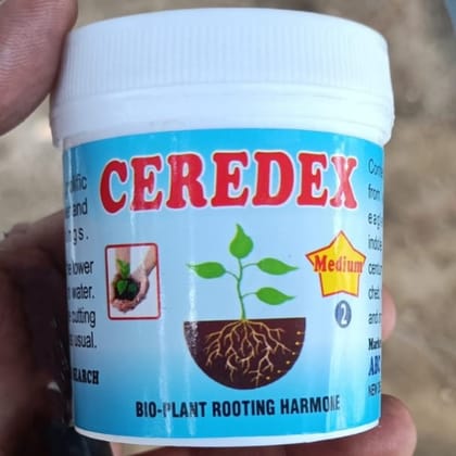 Rooting Hormone (Brand May Vary)