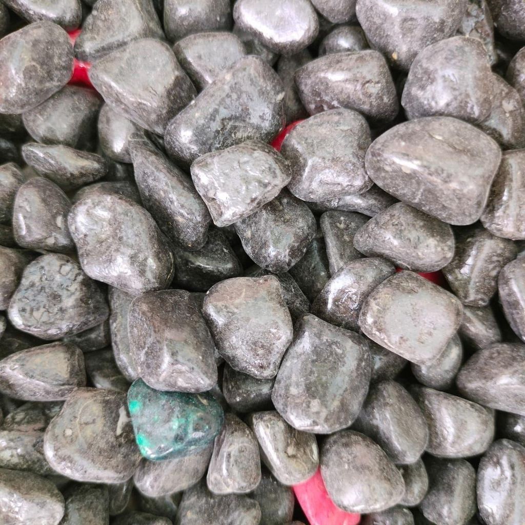 Buy Decorative Grey Large Pebbles - 500 Gm Online | Urvann.com Decorative Grey Large Pebbles - 500 Gm