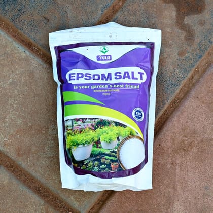Buy Epsom Salt - 500 Gm Online | Urvann.com