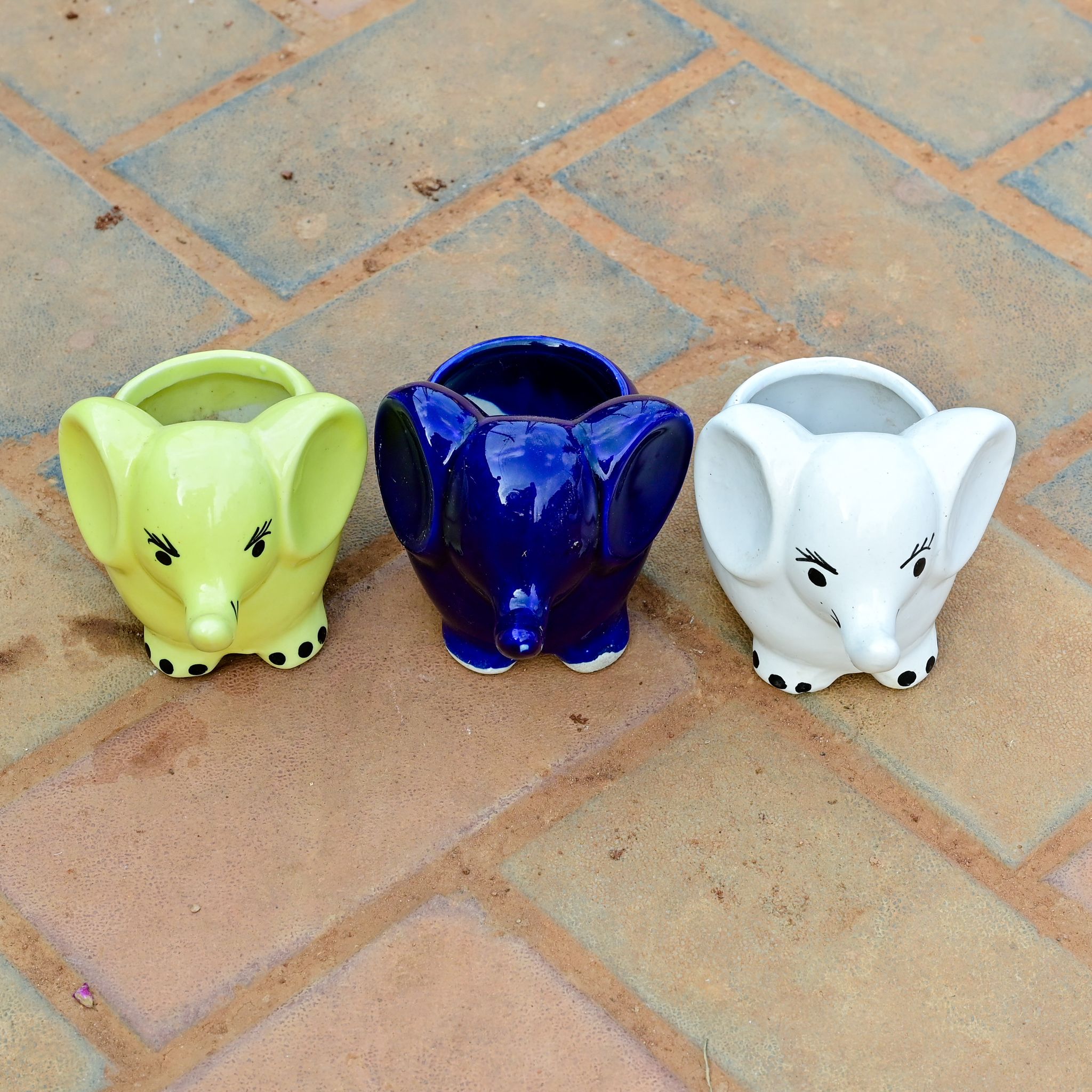 Set of 3 - 3 Inch Cute Elephant Designer Ceramic Pot (any colour)