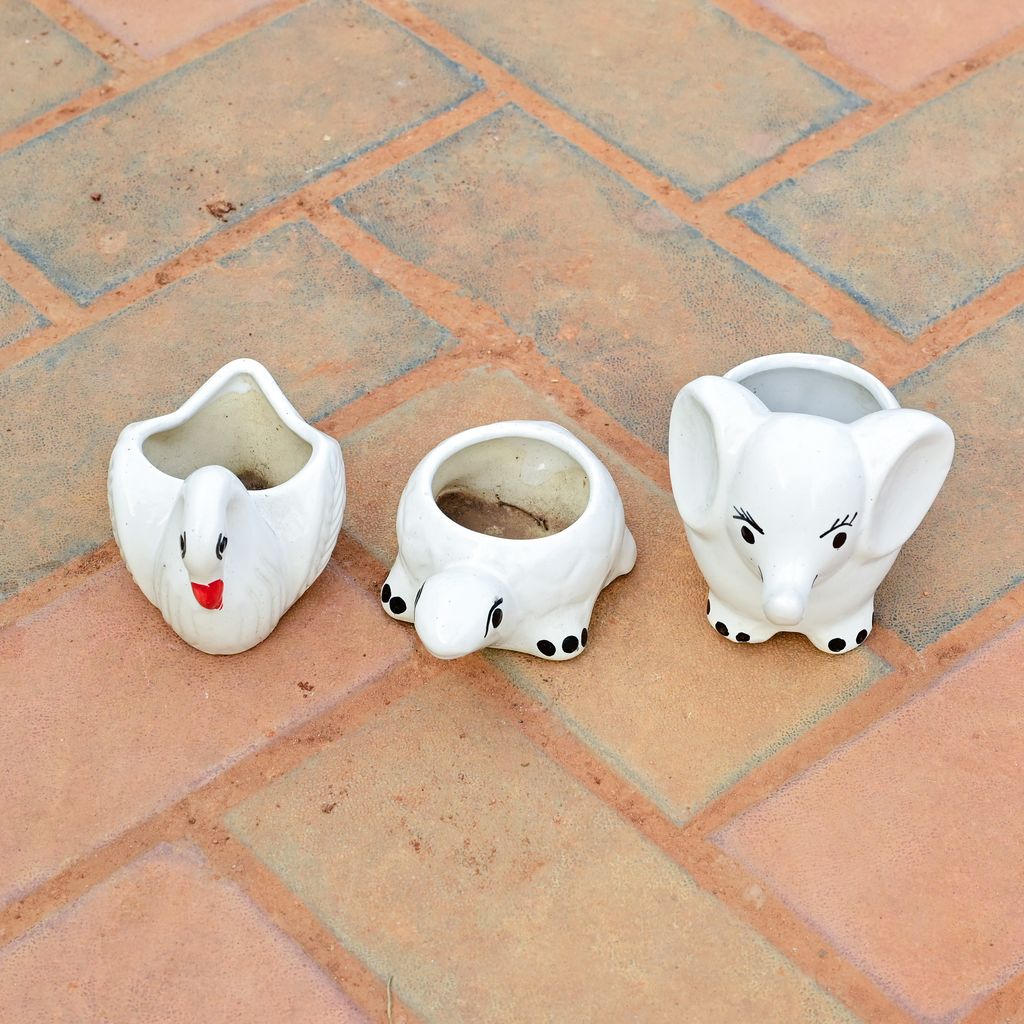 Buy Set of 3 - 3 Inch Elephant, Duck & Turtle Designer Ceramic Pot (any colour) Online | Urvann.com Set of 3 - 3 Inch Elephant, Duck & Turtle Designer Ceramic Pot (any colour)