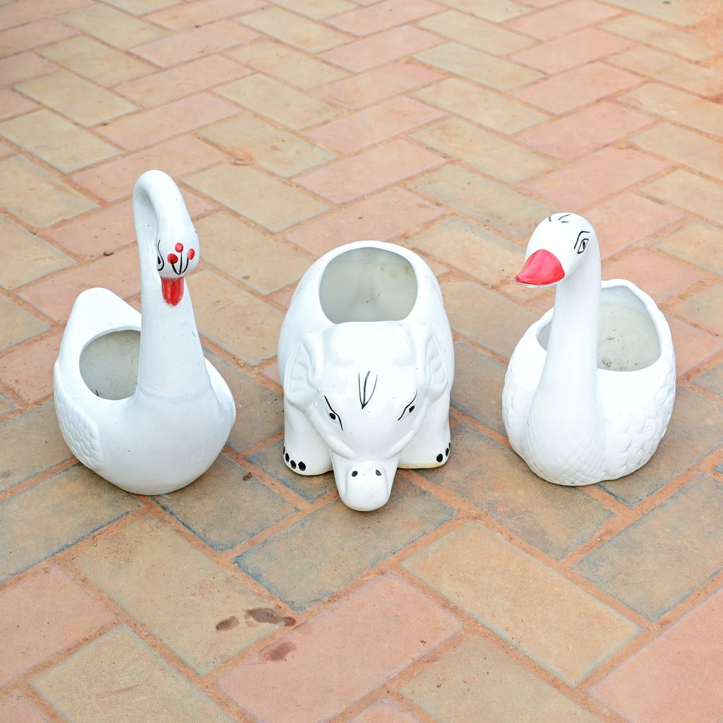 Buy Set of 3 - 3 Inch Two Elephant & One Duck Designer Ceramic Pot (any colour) Online | Urvann.com Set of 3 - 3 Inch Two Elephant & One Duck Designer Ceramic Pot (any colour)