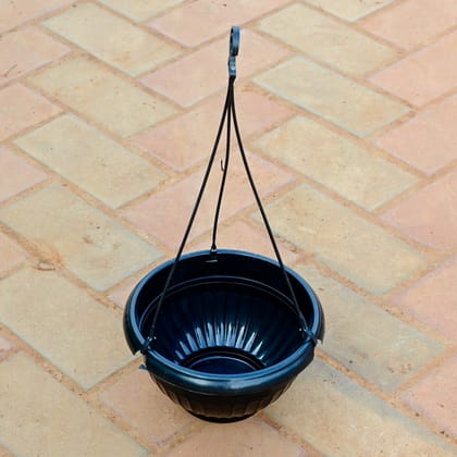 Buy 7 Inch Black Hanging Pot Online | Urvann.com