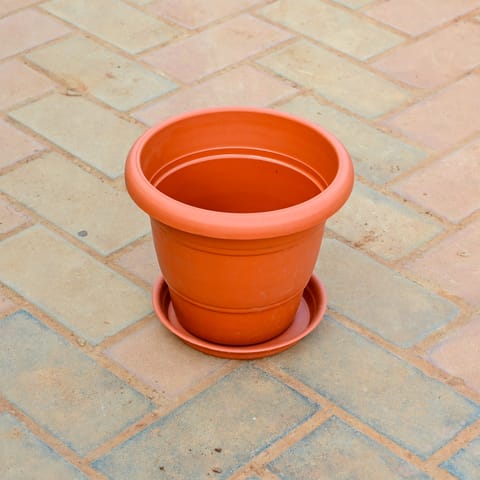 11 Inch Classy Red Plastic Pot With Tray