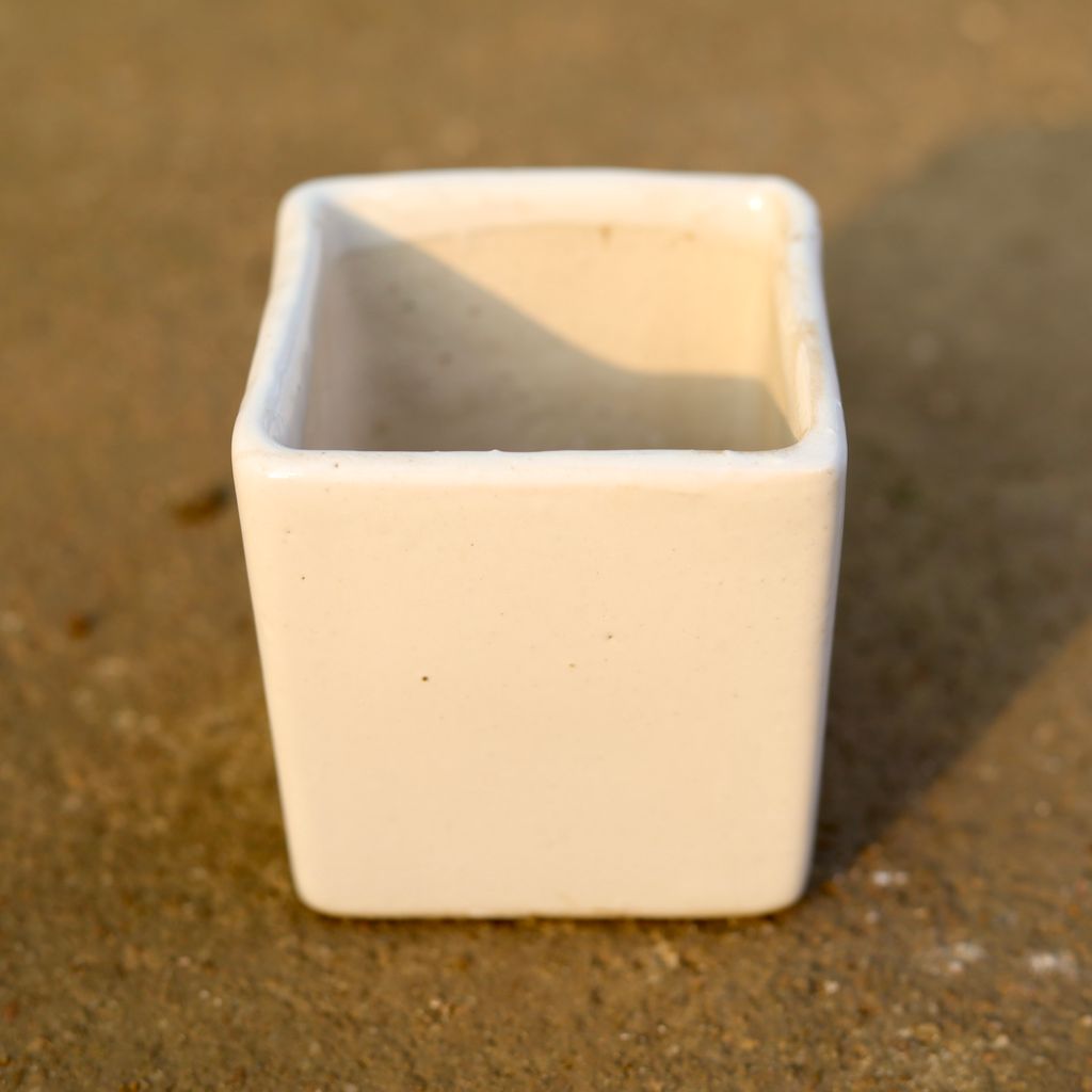 4 Inch White Classy Square Designer Ceramic Pot