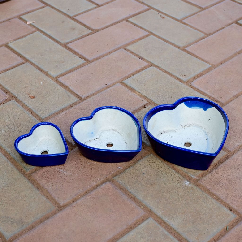 Buy Set of 3 - (4,6 & 7) Inch Designer Round Shaped Ceramic Pot (any colour) Online | Urvann.com Set of 3 - (4,6 & 7) Inch Designer Round Shaped Ceramic Pot (any colour)